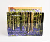 Bluebell Forest MDF/Teak Wood Casket Urn