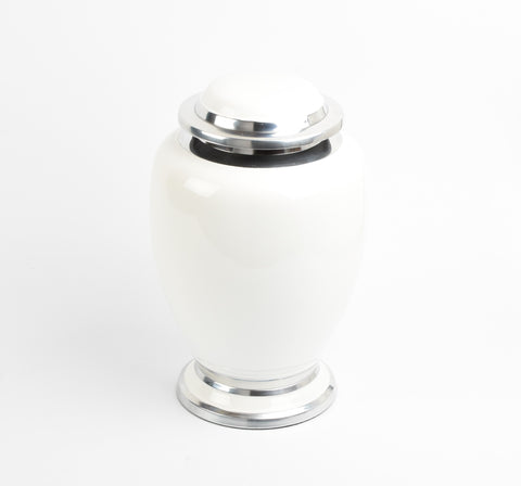 White and Silver Urn